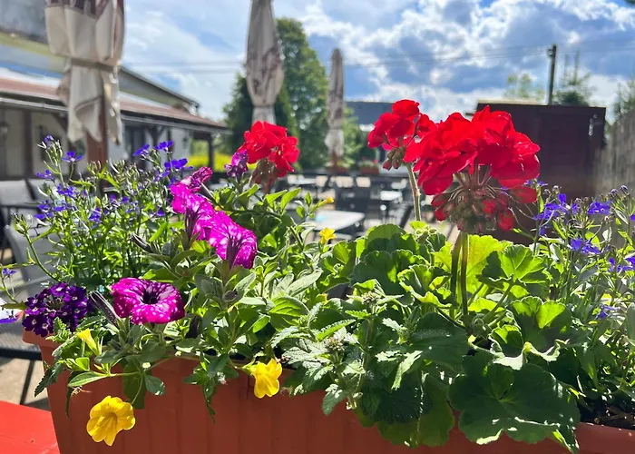 Отель Jef A Krcma U Rytire